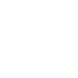 Extension of immigration documents icon